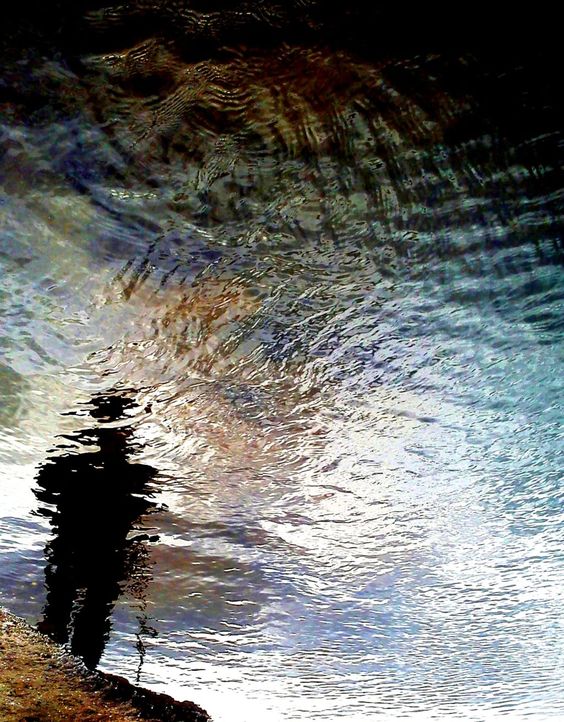 Self reflected in a pond